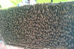20171007_112542794.jpg