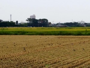 20180831_135024303.jpg