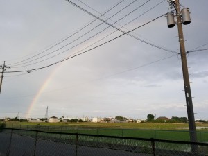 20190529_180252.jpg