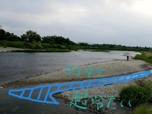 20190812_103501.jpg